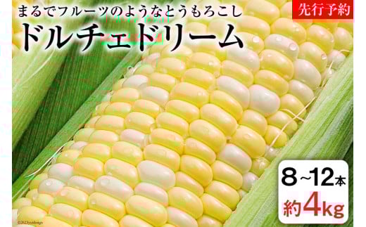 AE156 まるでフルーツのようなとうもろこし 約4kg ドルチェドリーム スイートコーン