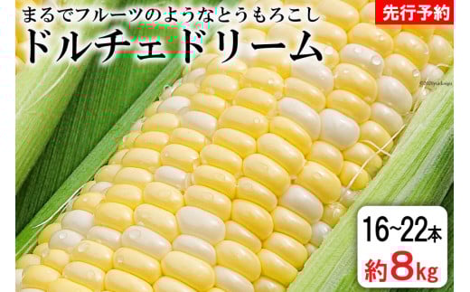 AE219 まるでフルーツのようなとうもろこし 約8kg 【ドルチェドリーム】 スイートコーン