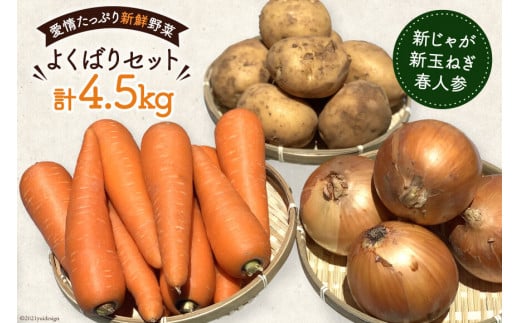 【令和8年度出荷分】AF156 新じゃがいも・新玉ねぎ・春人参のよくばりセット