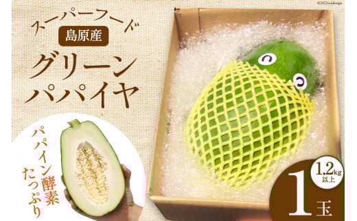 AG058【数量限定】島原産 グリーンパパイヤ 1.2kg以上×1玉