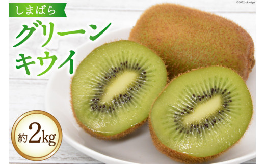 AG077【令和7年度出荷分】 数量限定 しまばら グリーンキウイ 約2kg