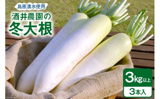 AG080 酒井農園の冬大根 3kg以上（3本入）