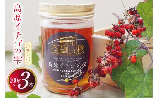 AG123島原イチゴの雫 200g×3本