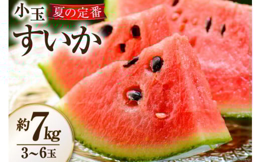 AH006 夏の定番 小玉すいか 約7kg（3～6玉） [ 果物 フルーツ すいか スイカ 古川青果店 長崎県 島原市 ]