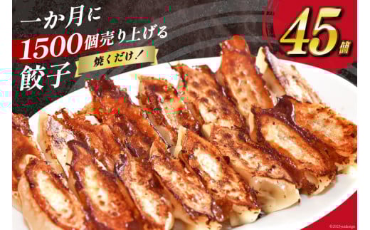 【AH019】 焼くだけ！一か月に1500個売り上げる餃子 45個（15個×3パック）