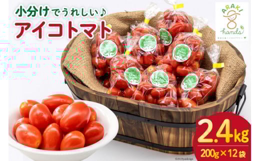 AH067【小分けでうれしい♪】アイコトマト2.4kg（200g×12袋）