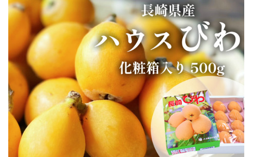 AH093 【期間限定発送】長崎県産 ハウスびわ 約500g 化粧箱入り [ フルーツ 果物 くだもの びわ ビワ 枇杷 数量限定 季節限定 初夏 冷蔵 長崎県 島原市 ]