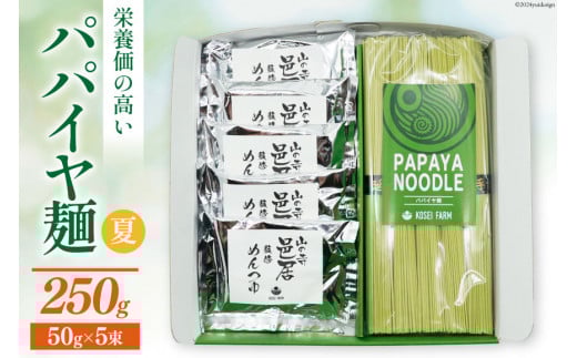 AI131 パパイヤ麺 5食 セット めんつゆ付 [ 麺 乾麺 手延べ麺 素麺 手延べそうめん 冷麺 にゅうめん にゅう麺 無農薬 青パパイヤ ヌードル コウセイプランニング 長崎県 島原市 ]