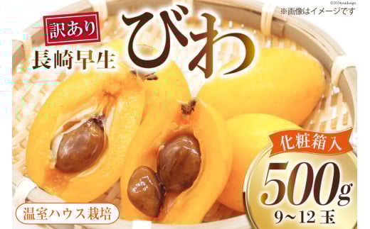 AI208【期間限定発送】訳あり 長崎 びわ 500g 温室ハウス栽培 長崎早生 [ フルーツ 枇杷 ビワ 果物 化粧箱入り 季節限定 99アイランドファーム 長崎県 島原市 ]