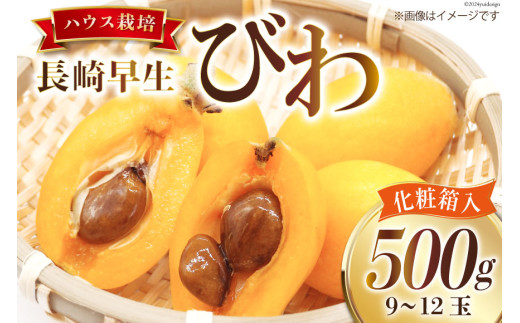 AI209【期間限定発送】赤秀 長崎 びわ 500g 温室ハウス栽培 長崎早生 [フルーツ 枇杷 ビワ 果物 化粧箱入り 季節限定 99アイランドファーム 長崎県 島原市 ]