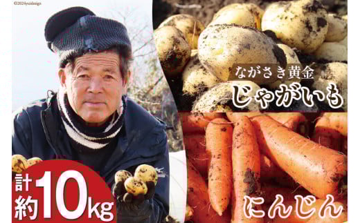 AI210 じゃがいも ＆ 人参 セット ( ながさき黄金＆冬人参 ) 約 10kg [ 野菜 野菜セット 詰め合わせ ジャガイモ にんじん ニンジン 10キロ 黄金 贅沢宝庫 長崎県 島原市 ]