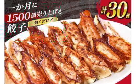 AI297 焼くだけ！一か月に1500個売り上げる 餃子 15個 2パック 計30個 [ ぎょうざ ギョウザ 冷凍ギョウザ 長崎県 島原市 ]