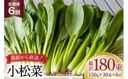 AI333 定期便 6回 小松菜 30束 [ 野菜 こまつな やさい 冷蔵 葉物野菜 田中農園 長崎県 島原市 ]