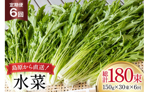 AI339 定期便 6回 水菜 30束 [ 野菜 みずな サラダ やさい 冷蔵 葉物野菜 田中農園 長崎県 島原市 ]
