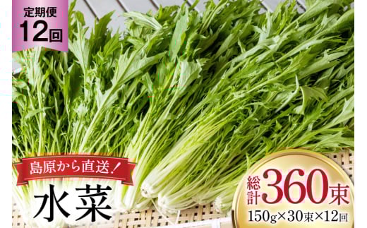 AI340 定期便 12回 水菜 30束 [ 野菜 みずな サラダ やさい 冷蔵 葉物野菜 田中農園 長崎県 島原市 ]