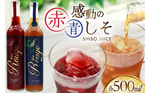AJ307 感動の赤しそジュース 瓶 500ml 感動の青しそジュース 瓶 500ml [ しそジュース 紫蘇ジュース 赤しそ 青しそ 長崎県 島原市 ]