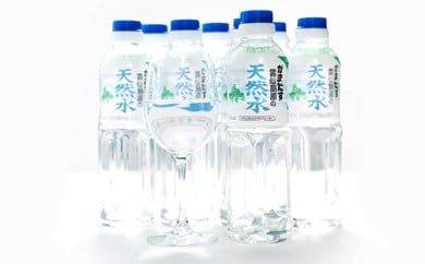 BA028 山崎本店酒造場 雲仙島原の天然水 500mL 30本 計15L [ 水 ペットボトル 天然水 湧水 おいしい 備蓄 日用品 大容量 名水百選 軟水 長崎県 島原市 ]