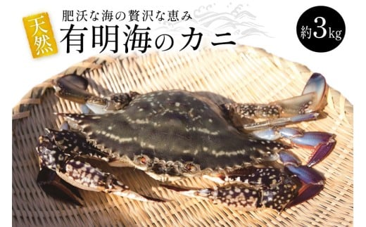 BA061 天然の好漁場・肥沃な海の贅沢な恵み 有明海のカニ [ かに カニ 蟹 ワタリガニ 渡り蟹 ガネ 冷蔵 島原漁業協同組合 長崎県 島原市 ]