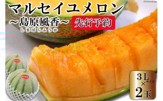 BD201【令和8年度出荷分】マルセイユメロン～島原風香～（3L×2玉） [農事組合法人　『舞岳の里』生産組合 長崎県 島原市 BD201] メロン 赤肉 果物 くだもの フルーツ 産地直送