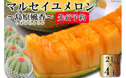 BD203【令和8年度出荷分】マルセイユメロン～島原風香～（2L×4玉） [農事組合法人　『舞岳の里』生産組合 長崎県 島原市 BD203] メロン 赤肉 果物 くだもの フルーツ 産地直送