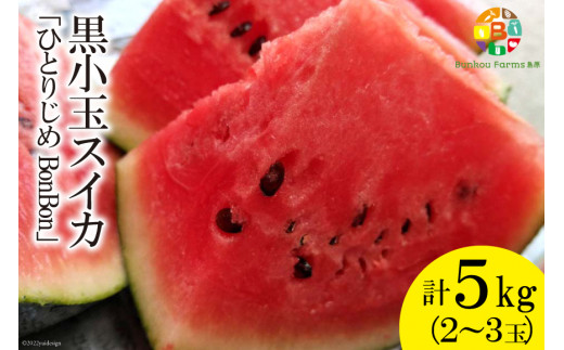 【令和8年度出荷分】BE275 黒小玉スイカ「ひとりじめBonBon」 5kg(1.7kg以上×2~3玉) ～名水百選の里 島原産～ [ Bunkou Farms 島原 合同会社 島原市 BE275 ]