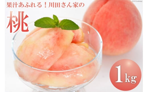 BF017【令和6年度出荷分】 ＜ 数量限定 ＞ 果汁あふれる！川田さん家の 桃 1kg