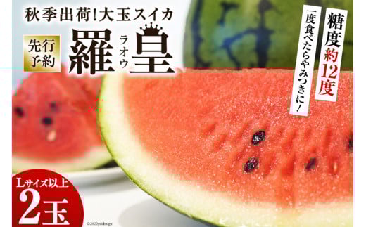 BF164【令和7年度出荷分】秋季出荷！大玉スイカ～羅皇（ラオウ）～（Lサイズ6kg以上×2玉入）[先行予約 数量限定 すいか スイカ 西瓜 フルーツ 果物 長崎 長崎県 島原市]