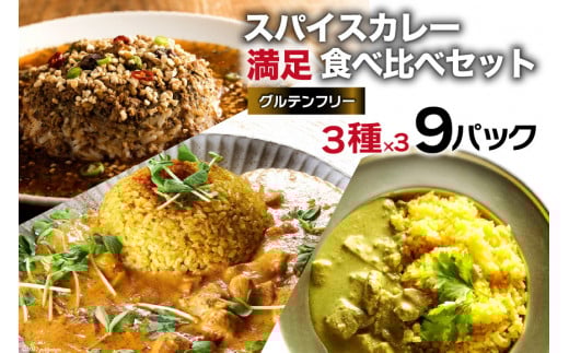 CG028 スパイスカレー 満足食べ比べセット 3種類 150g×各3 計9パック
