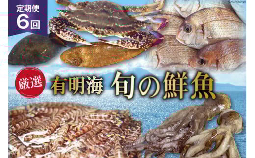 BG065【定期便】有明海 旬の鮮魚 漁協おすすめ 海の幸定期便 計6回