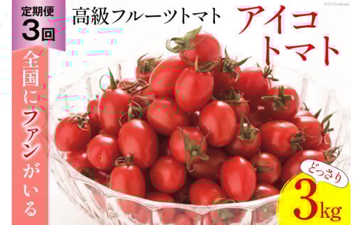 BG138【3回定期便】全国にファンがいる高級フルーツトマト アイコ どっさり！3kg