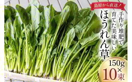 【BH010】ほうれん草 150g×10束