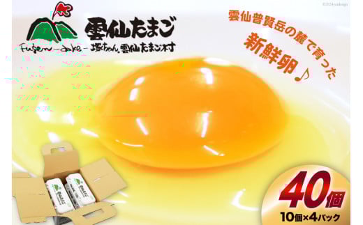 BI024 雲仙たまごLサイズ  40個 (10個入り×4パック) (37個＋割れ補償3個入り) [ 卵 たまご 生卵 鶏卵 赤卵 玉子 新鮮 塚ちゃん雲仙たまご村 長崎県 島原市 ]