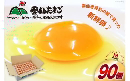 BI027 たっぷり！ 雲仙たまごMサイズ 90個(85個＋割れ補償5個入り) [ 卵 たまご 生卵 鶏卵 赤卵 玉子 新鮮 塚ちゃん雲仙たまご村 長崎県 島原市 ]
