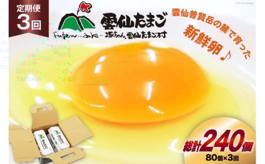 BI034 3回 定期便 雲仙たまごLサイズ  80個 (10個入り×8パック)(75個＋割れ補償5個入り) [ 卵 たまご 生卵 鶏卵 赤卵 玉子 新鮮 塚ちゃん雲仙たまご村 長崎県 島原市 ]