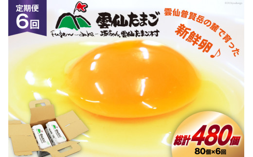 BI035 6回 定期便 雲仙たまごLサイズ  80個 (10個入り×8パック)(75個＋割れ補償5個入り) [ 卵 たまご 生卵 鶏卵 赤卵 玉子 新鮮 塚ちゃん雲仙たまご村 長崎県 島原市 ]