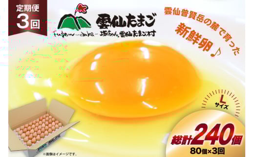 BI037 3回 定期便 たっぷり！ 雲仙たまごLサイズ 80個 (75個＋割れ補償5個入り) [ 卵 たまご 生卵 鶏卵 赤卵 玉子 新鮮 塚ちゃん雲仙たまご村 長崎県 島原市 ]