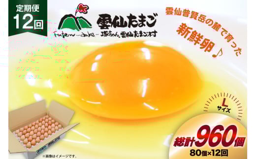 BI039 12回 定期便 たっぷり！ 雲仙たまごLサイズ 80個 (75個＋割れ補償5個入り) [ 卵 たまご 生卵 鶏卵 赤卵 玉子 新鮮 塚ちゃん雲仙たまご村 長崎県 島原市 ]