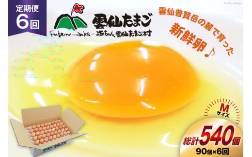 BI041 6回 定期便 たっぷり！ 雲仙たまごMサイズ 90個(85個＋割れ補償5個入り) [ 卵 たまご 生卵 鶏卵 赤卵 玉子 新鮮 塚ちゃん雲仙たまご村 長崎県 島原市 ]
