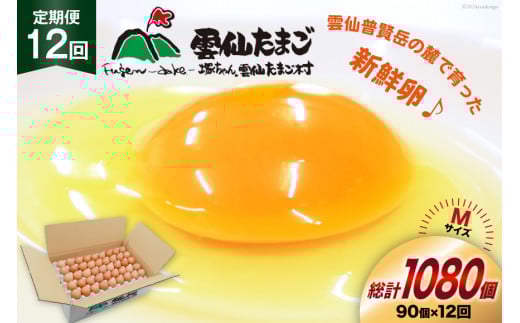 BI042 12回 定期便 たっぷり！ 雲仙たまごMサイズ 90個(85個＋割れ補償5個入り) [ 卵 たまご 生卵 鶏卵 赤卵 玉子 新鮮 塚ちゃん雲仙たまご村 長崎県 島原市 ]