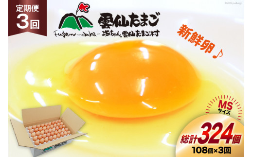BI043 3回 定期便 たっぷり！ 雲仙たまごMSサイズ 108個(100個＋割れ補償8個入り) [ 卵 たまご 生卵 鶏卵 赤卵 玉子 新鮮 塚ちゃん雲仙たまご村 長崎県 島原市 ]