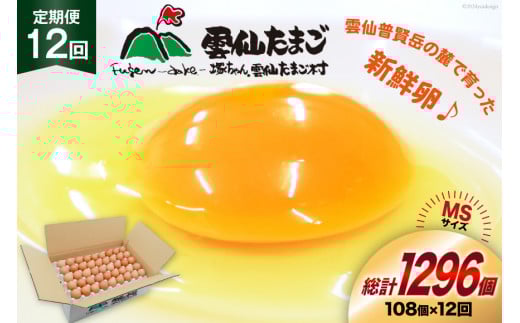 BI045 12回 定期便 たっぷり！ 雲仙たまごMSサイズ 108個(100個＋割れ補償8個入り) [ 卵 たまご 生卵 鶏卵 赤卵 玉子 新鮮 塚ちゃん雲仙たまご村 長崎県 島原市 ]