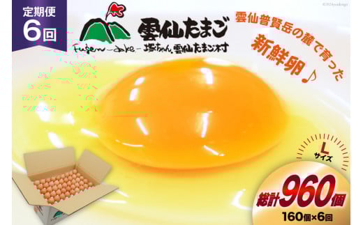 BI047 6回 定期便 どっさり！ 雲仙たまごLサイズ 160個(150個＋割れ補償10個入り) [ 卵 たまご 生卵 鶏卵 赤卵 玉子 新鮮 塚ちゃん雲仙たまご村 長崎県 島原市 ]