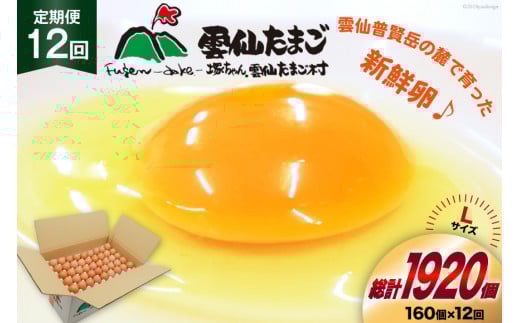 BI048 12回 定期便 どっさり！ 雲仙たまごLサイズ 160個(150個＋割れ補償10個入り) [ 卵 たまご 生卵 鶏卵 赤卵 玉子 新鮮 塚ちゃん雲仙たまご村 長崎県 島原市 ]