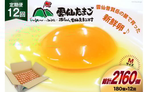 BI051 12回 定期便 どっさり！ 雲仙たまごMサイズ 180個(170個＋割れ補償10個入り) [ 卵 たまご 生卵 鶏卵 赤卵 玉子 新鮮 塚ちゃん雲仙たまご村 長崎県 島原市 ]