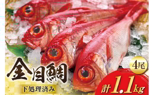 BI094 金目鯛 大サイズ (200g～300g) 4尾 計1.1kg 程度 ＜下処理済み＞【 鯛 たい タイ キンメダイ キンメ 真空パック 個包装 煮付け 塩焼き 冷凍 焼き魚 長崎県 島原市 】