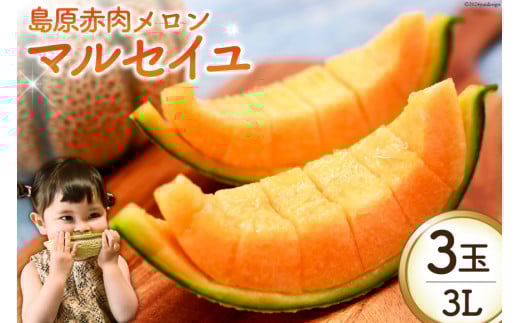 BI113 【令和8年度出荷分】 島原赤肉メロン「マルセイユ」（3L×3玉） [ メロン めろん マルセイユ 赤肉 フルーツ 果物 小原商店 長崎県 島原市 ]