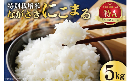 CA023 特別栽培米ながさきにこまる[ 白米 精米 ごはん ご飯 こめ おこめ もちもち おにぎり 粘り おいしい 長崎県産 長崎県産米 長崎にこまる 長崎県 島原市 ]