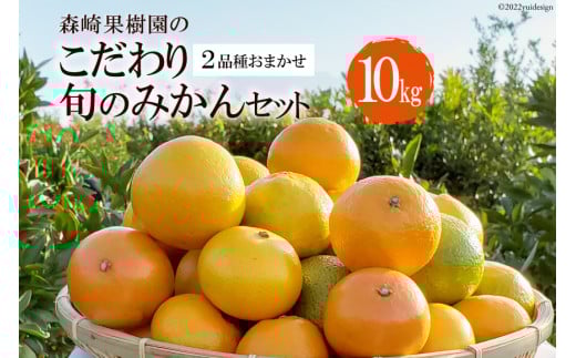 CC003 森崎果樹園のこだわり旬のみかんセット 10kg [みかん ミカン 旬 10キロ 長崎県 島原市]