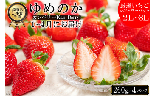 【期間限定発送】DE178 長崎県知事賞受賞【 厳選 いちご 】「 ゆめのか （2L～3L）」 260g × 4パック ＜1～4月にお届け＞
