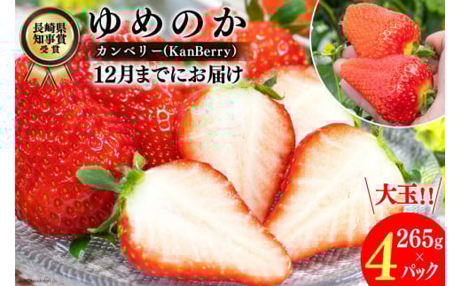 【期間限定発送】DF107 長崎県知事賞受賞【 大玉 いちご 】「 ゆめのか （3L～5L）」265g×4パック ＜12月までにお届け＞